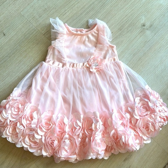 Nannette Other - Nannette Baby appliqué and tulle floral dress size 12m